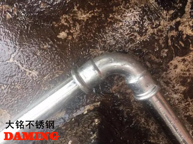 草莓视频APP色版下载安装草莓视频污在线观看免费給水管