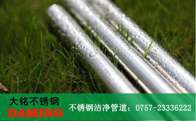 草莓视频APP色版下载安装草莓视频污在线观看免费