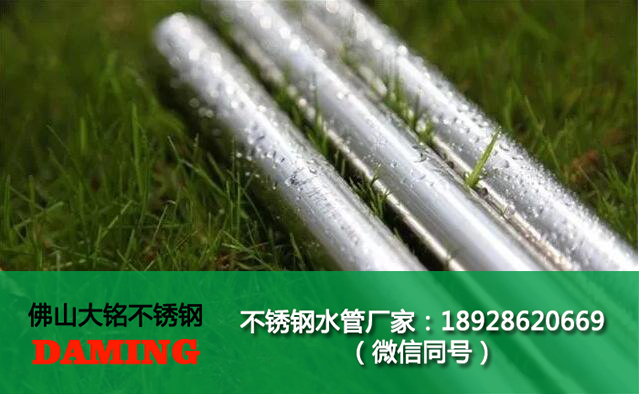連雲港草莓视频污在线观看免费水管代理加盟