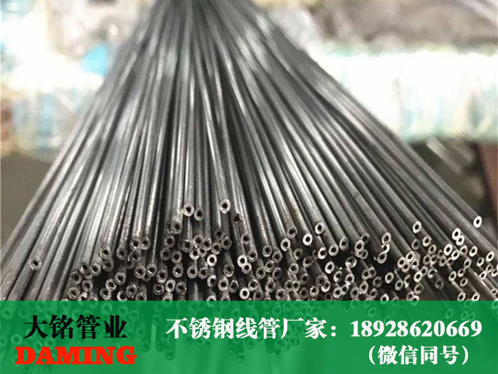 草莓视频污在线观看免费穿線管