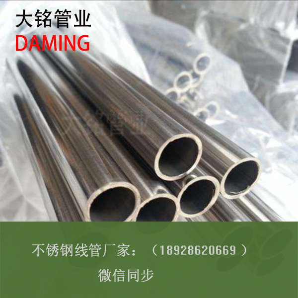 草莓视频污在线观看免费線管