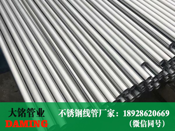 草莓视频污在线观看免费線管