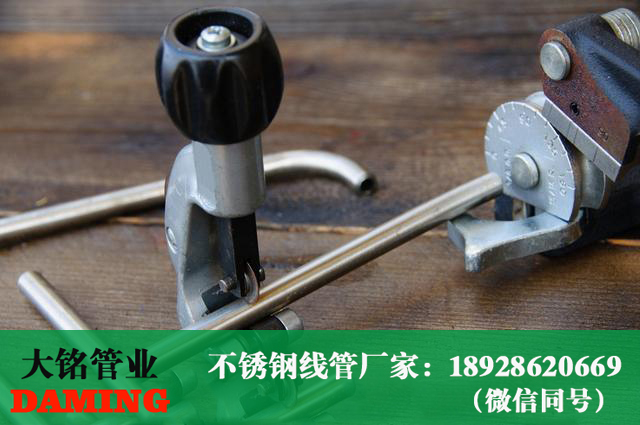 草莓视频污在线观看免费線管