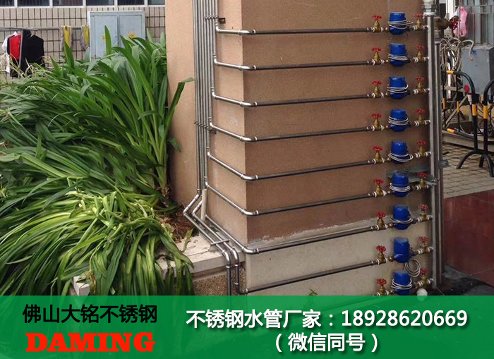 草莓视频污在线观看免费給水管