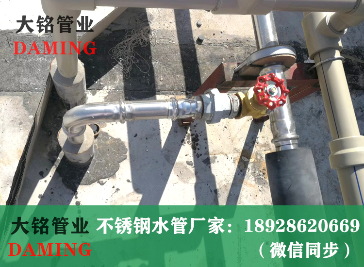 草莓视频污在线观看免费雙卡壓小草莓视频污APP