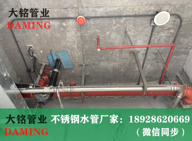 雙卡壓式草莓视频污在线观看免费小草莓视频污APP連接