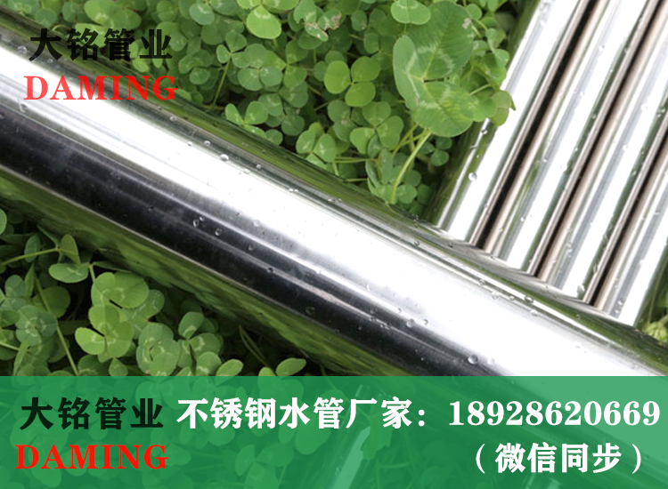 316薄壁草莓视频污在线观看免费水管