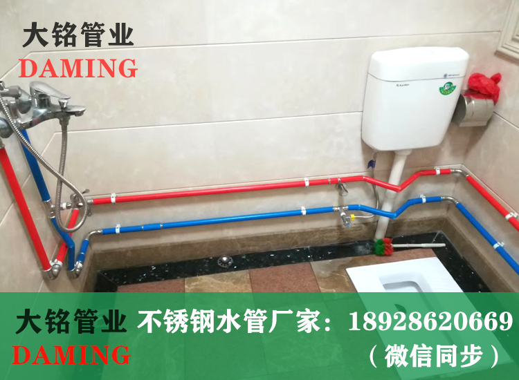 草莓视频污在线观看免费保溫水管