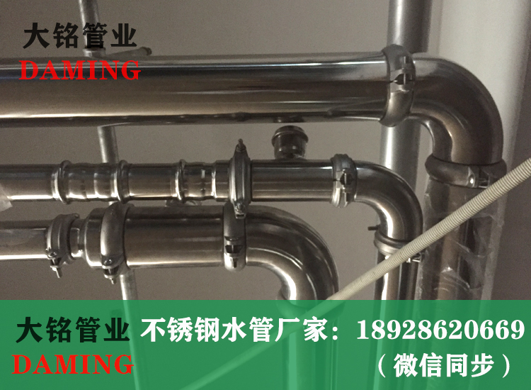 316草莓视频污在线观看免费溝槽式水管
