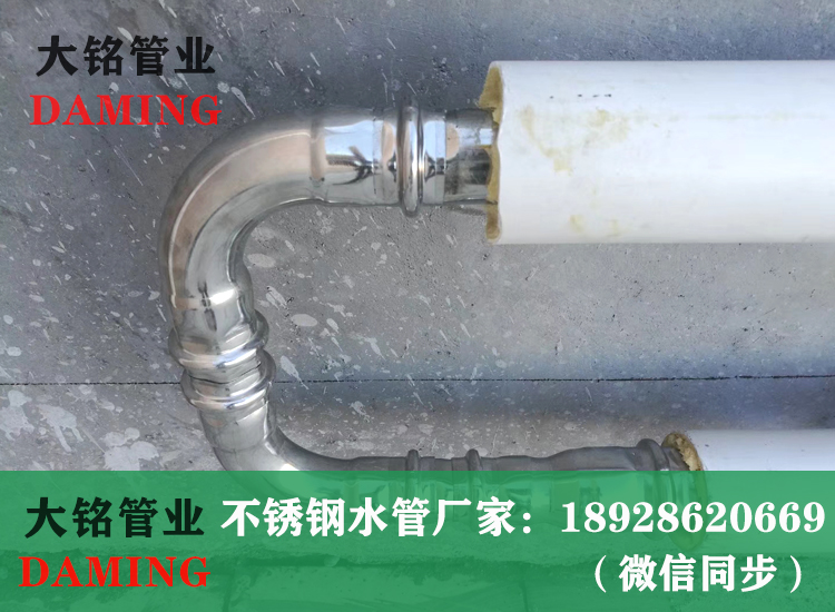 雙卡壓草莓视频污在线观看免费管