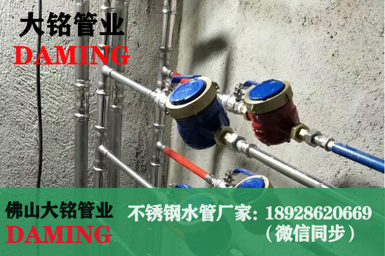 草莓视频污在线观看免费水管三通接頭