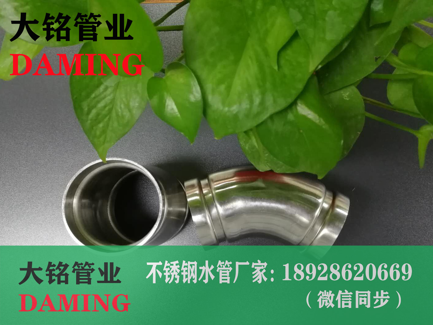 草莓视频污在线观看免费溝槽小草莓视频污APP