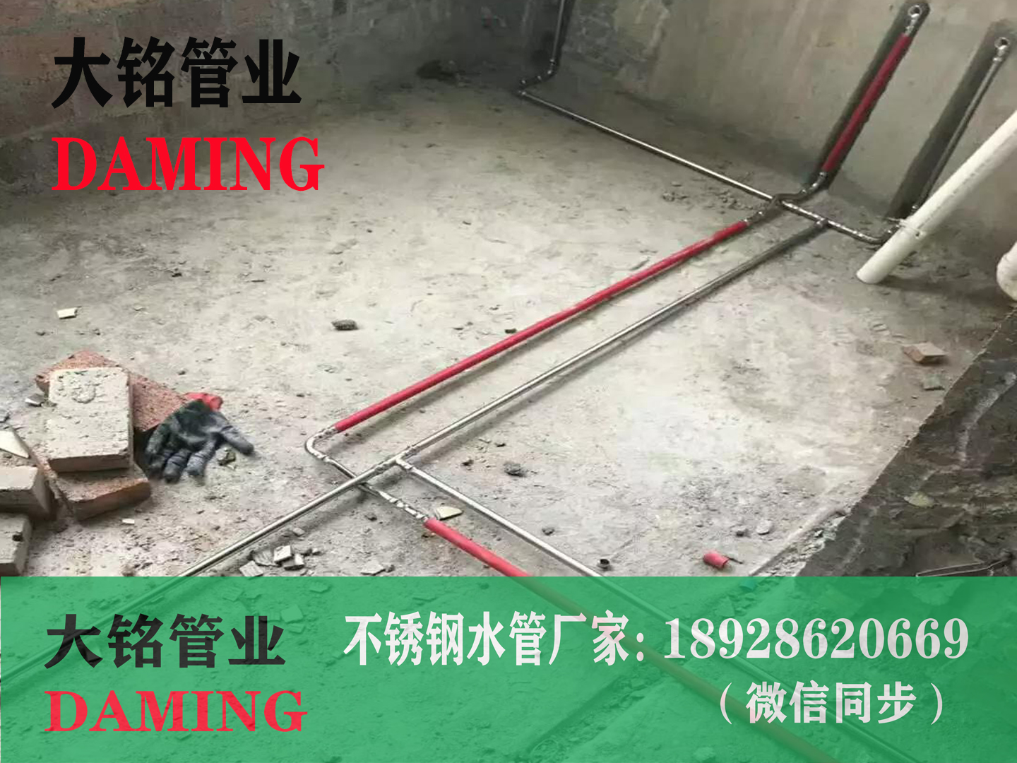 廣東雙卡壓小草莓视频污APP